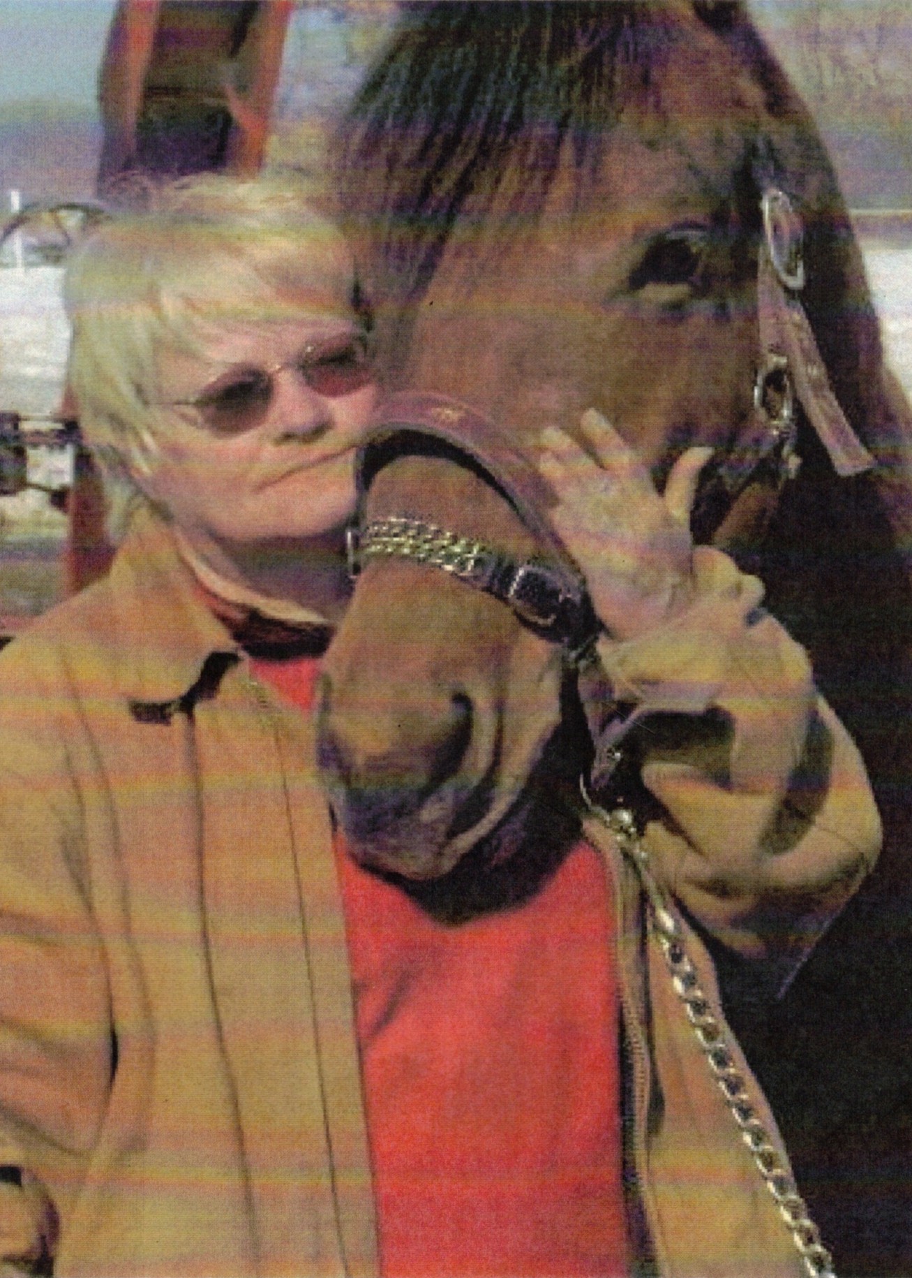 R&eacute;sidence fun&eacute;raire Andr&eacute; L&eacute;gar&eacute; inc.